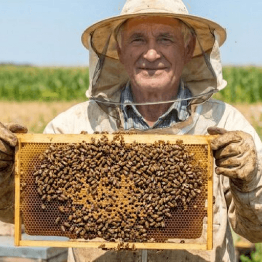 Founder Luca Fiorini inspecting hive